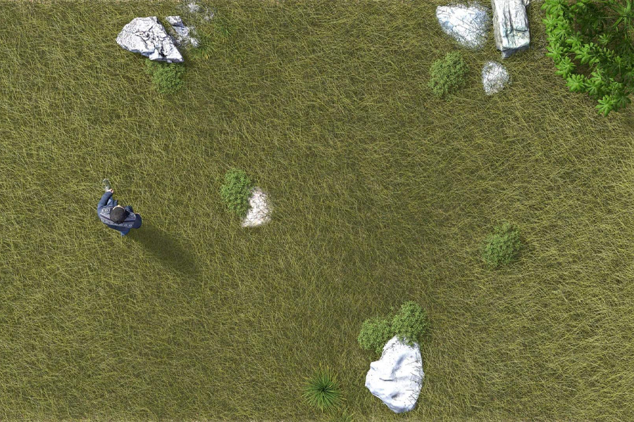 Artlantis | TRAWA 3D