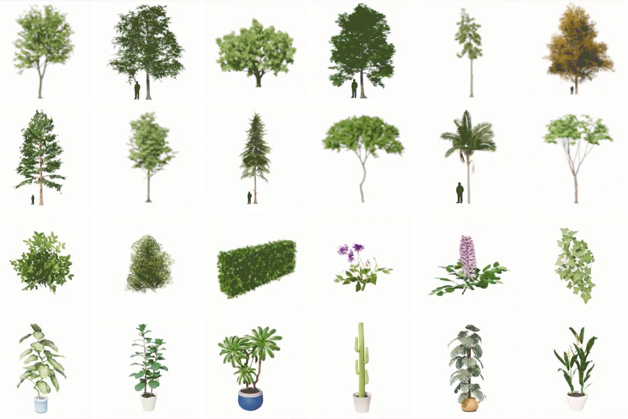 Enscape | ROŚLINNOŚĆ