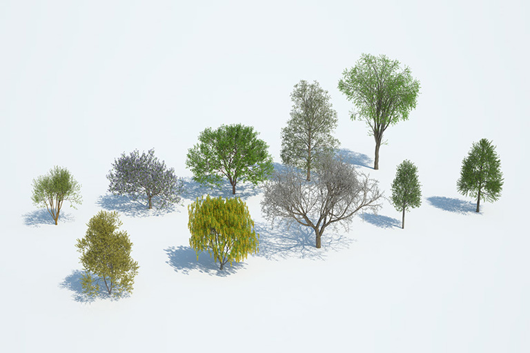 PlantsKit | Plants Kit 10 | Wybór drzew liściastych, głównie ze strefy Ameryki Północno-Wschodniej i Azji Wschodniej. Obejmuje doskonałe okazy ze wspaniałymi kwiatami i drzewa o szerokich, dużych liściach.