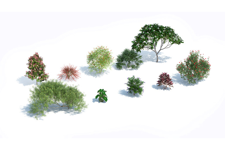 PlantsKit | Plants Kit 11 | Zestaw tropikalnych krzewów i gatunków krzewów sadzonych w parkach i ogrodach. Między innymi krzewy o pachnących białych kwiatach oraz dających mocny akcent kolorystyczny do każdego tropikalnego ogrodu.