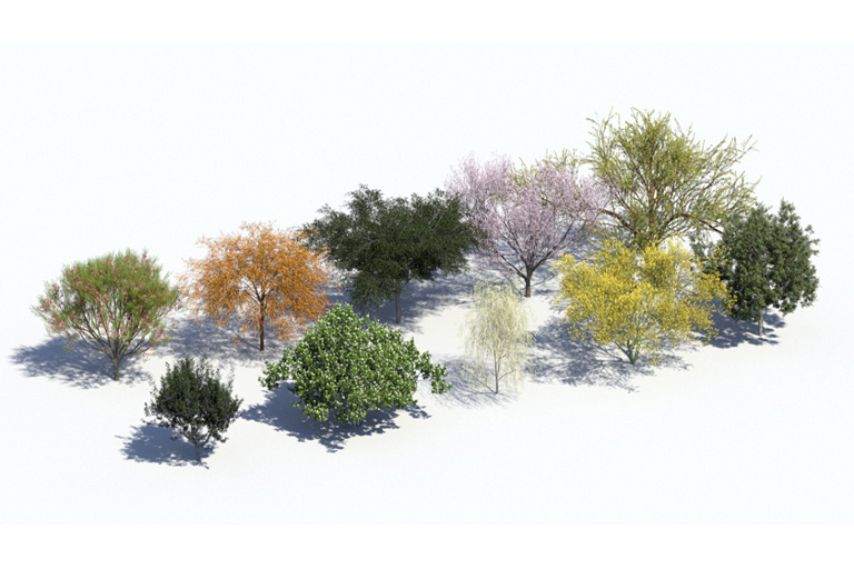 PlantsKit | Plants Kit 14 | Wybór zarówno unikalnych i pospolitych subtropikalnych drzew pustynnych, głównie z pustyń Arizony, Teksasu i Meksyku. Przeznaczonych do sadzenia w parkach, ogrodach lub ulicach.