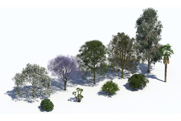 PlantsKit | Plants Kit 15 | Ekskluzywny wybór subtropikalnych drzew i palm do specjalnych nasadzeń w ogrodach i parkach, w których pożądana jest śródziemnomorska lub egzotyczna atmosfera - na przykład zachodnie drzewo truskawkowe z jego egzotycznymi owocami przypominającymi truskawki lub palma karłowata z pięknymi w kształcie liści.