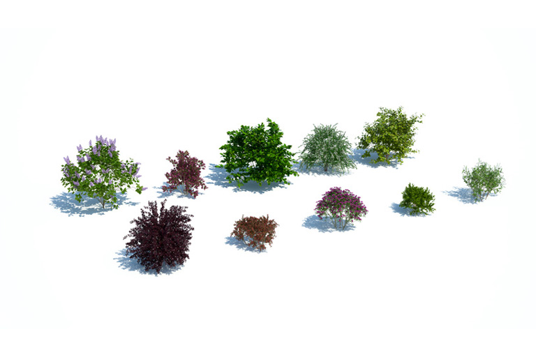 PlantsKit | Plants Kit 9 | Zbiór 10 gatunków krzewów ze strefy umiarkowanej. Wykorzystywanych w parkach, ogrodach i krajobrazach wiejskich. Zawiera krzewy z obfitymi kwiatami na wiosnę czy kwitnące jesienią, które nadają mocny akcent kolorystyczny ogrodom i krajobrazom.