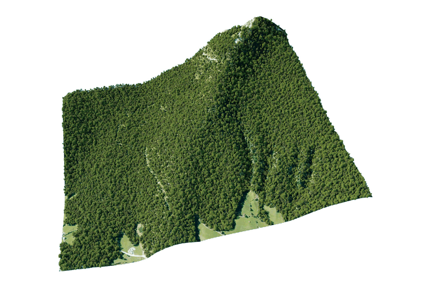 Skatter | Render bez ograniczeń