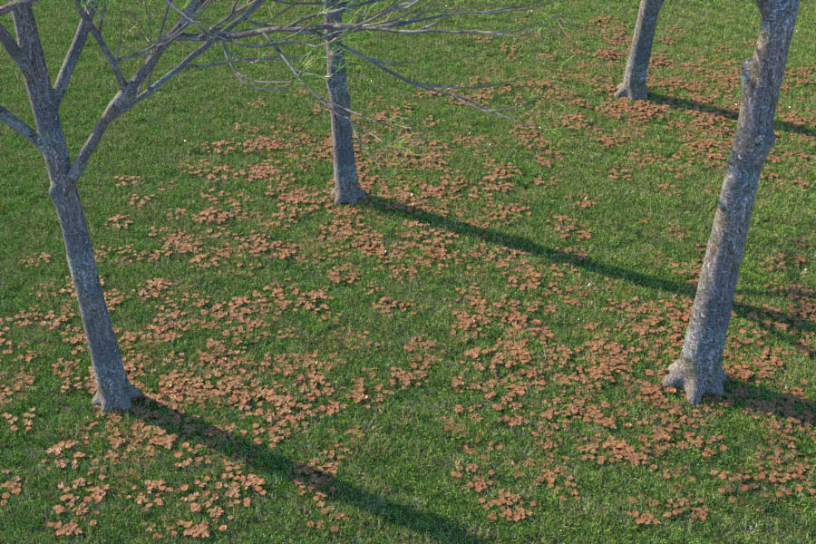 Skatter | MASKA KOMPOZYCYJNA