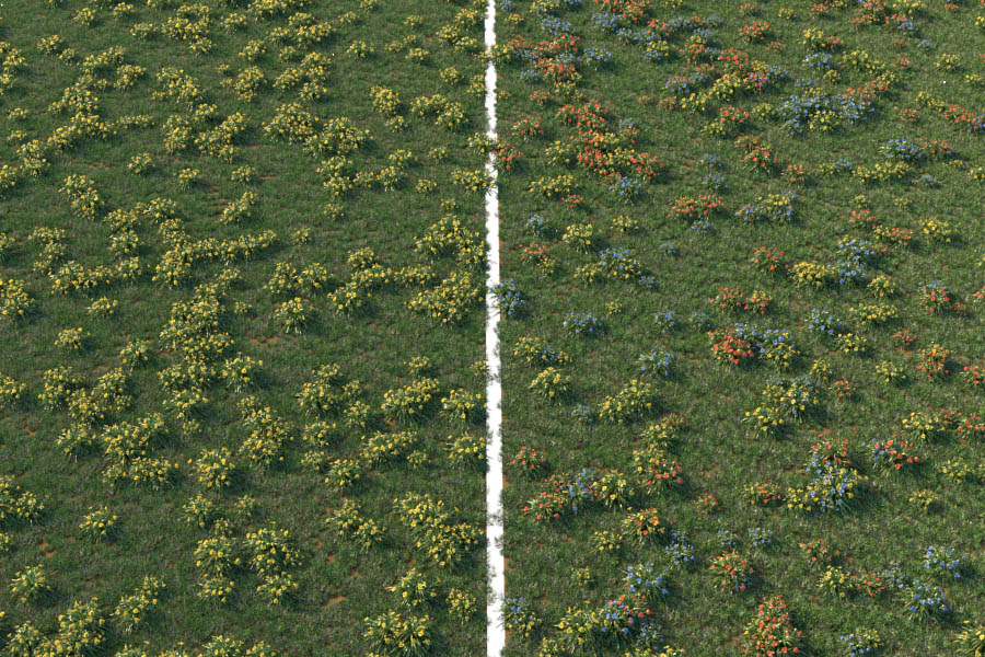 Skatter | Materiały losowe