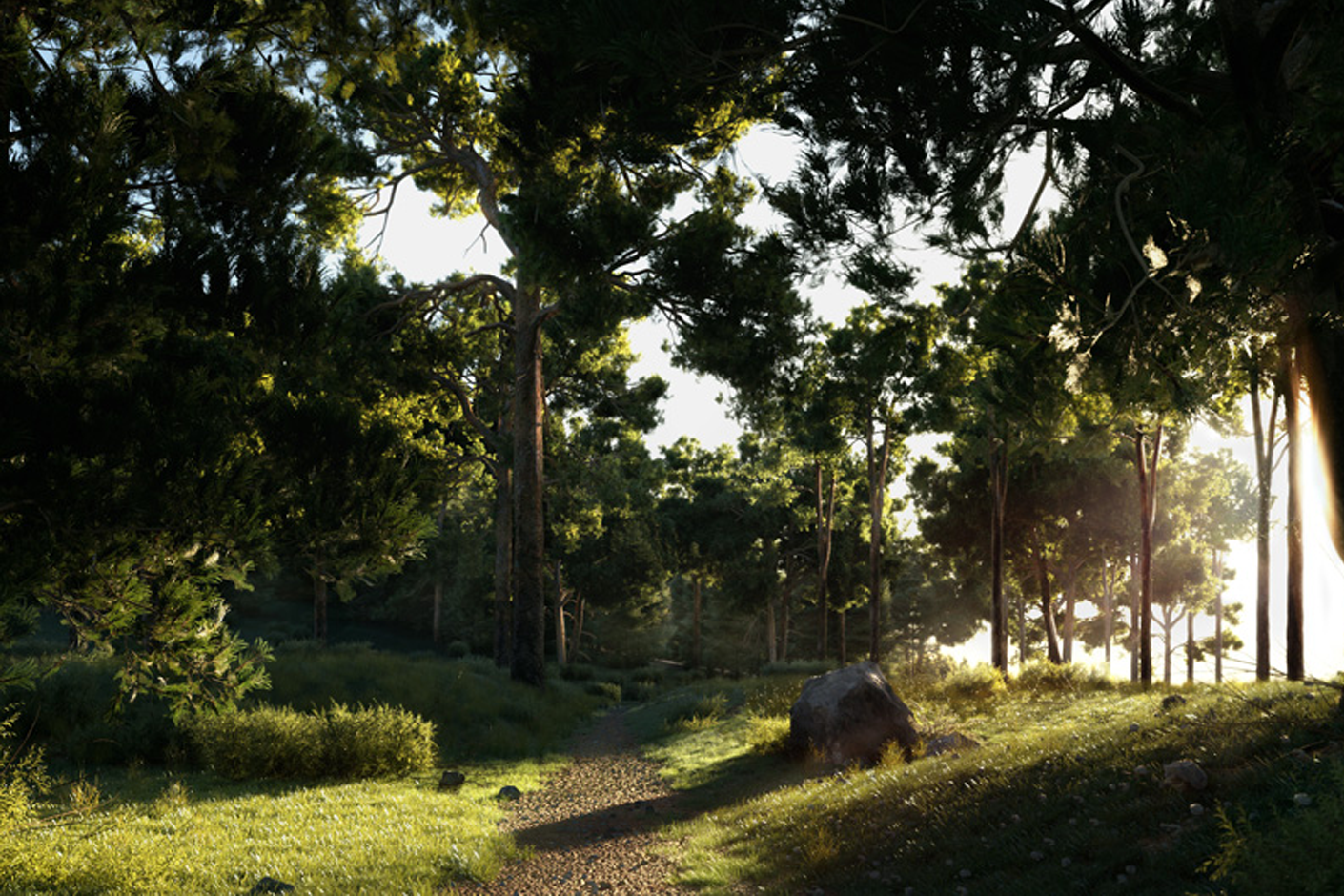 SketchUp Pro | Cyfrowe modele drzew i krzewów