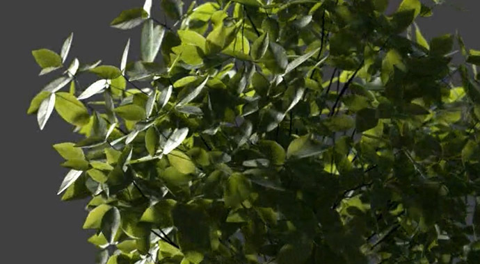 V-Ray Scans | MATERIAŁY PÓŁPRZEŹROCZYSTE