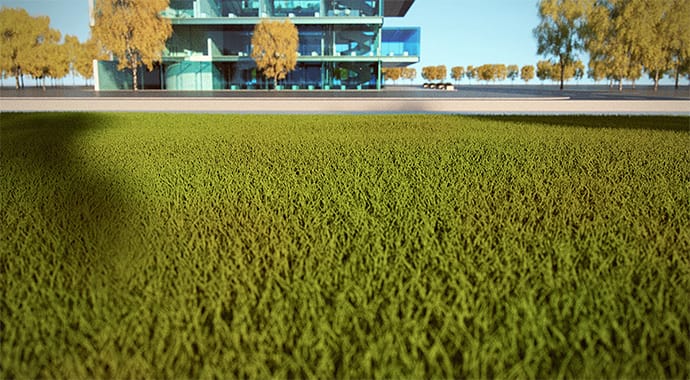 V-Ray SketchUp | TRAWA